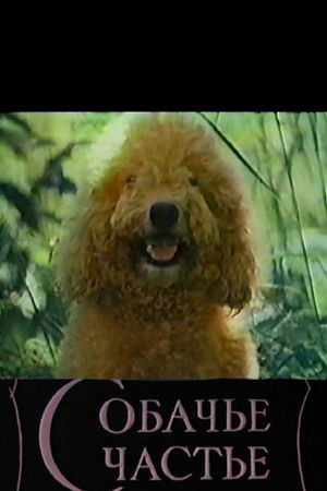 Собачье счастье (1991)