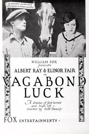 Vagabond Luck (1919)
