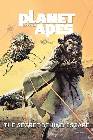 The Secret Behind Escape (2008)