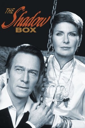 The Shadow Box (1980)