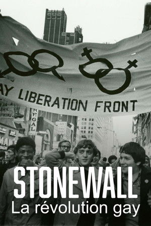 Stonewall, la révolution gay (2010)