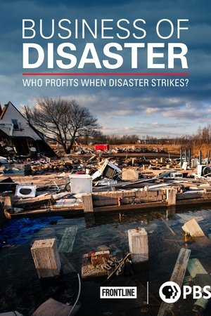Business of Disaster (2016)