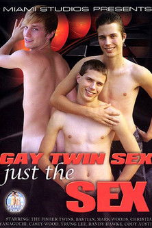 Gay Twin Sex: Just the Sex (2008)