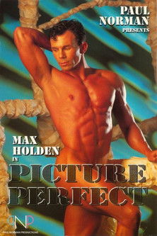 Picture Perfect (1993)