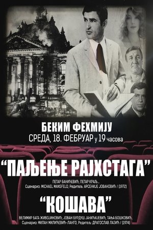 Paljenje Rajhstaga (1972)