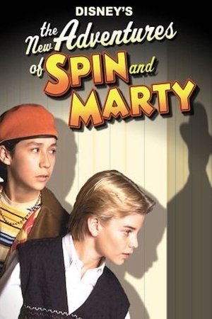 The New Adventures of Spin and Marty: Suspect Behavior (2000)