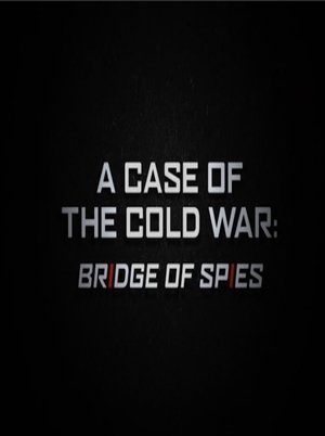 A Case of the Cold War: Bridge of Spies (2016)