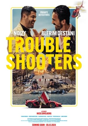 Troubleshooters (2024)