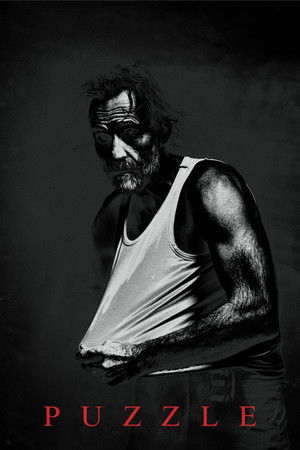Puzzle (2024)