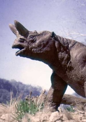 The Age of Mammals (1981)