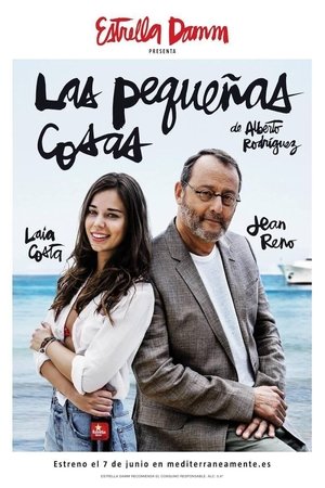 Les petites choses (2016)