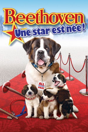 Beethoven 6 : Une star est née ! (2008)