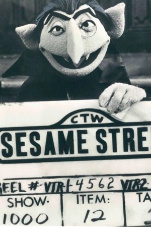 Sesame Street at Night? (1977)