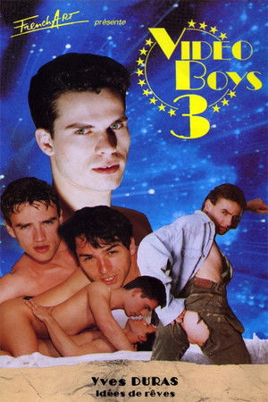 Video Boys 3 (1994)