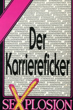 Der Karriereficker (1991)