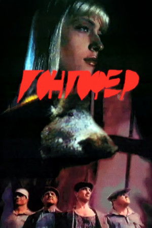 Гонгофер (1992)