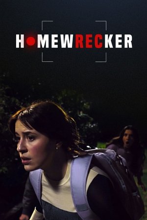 Homewrecker (2025)