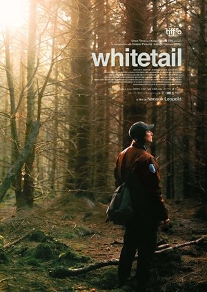 Whitetail (2025)