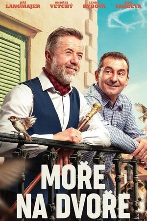 Moře na dvoře (2025)