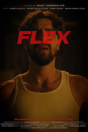 Flex (2024)