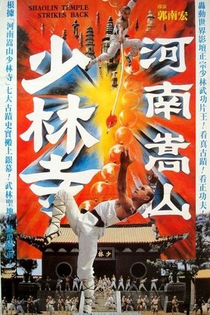 河南嵩山少林寺 (1981)