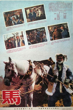 马 (1956)