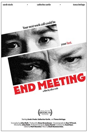 End Meeting (2025)