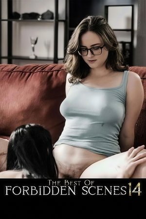 The Best of Forbidden Scenes 14 (2025)