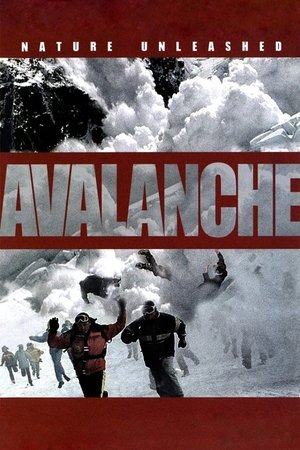 Danger Avalanche (2004)