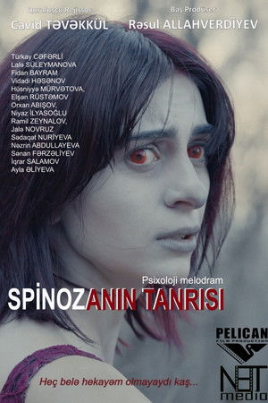 Spinozanın Tanrısı (2025)
