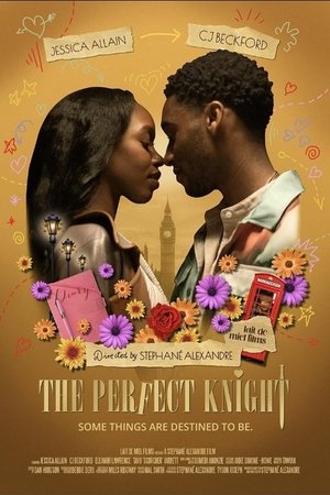The Perfect Knight (2023)