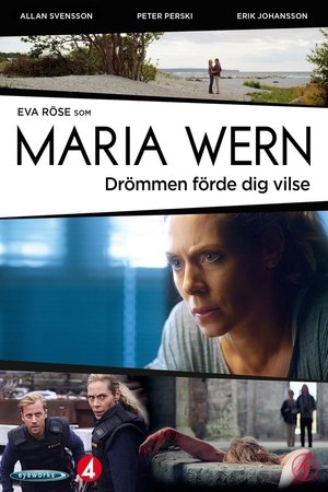 Drömmen förde dig vilse (2013)