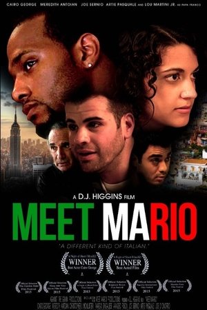 Meet Mario (2015)
