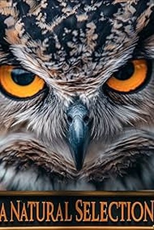 A Natural Selection (2025)