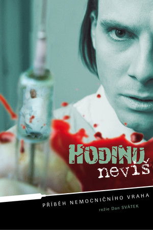 Hodinu nevíš... (2009)
