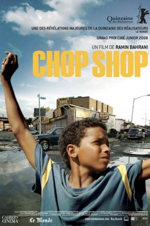 Chop Shop (2008)