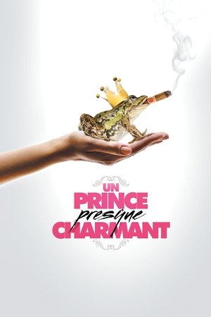 Un Prince (presque) charmant (2013)