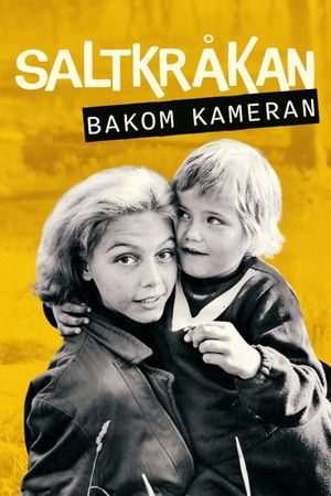 Saltkråkan - bakom kameran (2025)