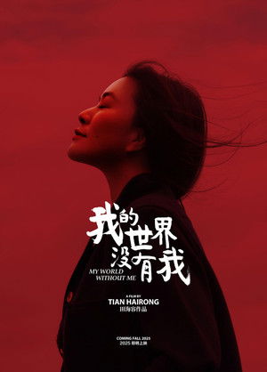 我的世界没有我 (2025)