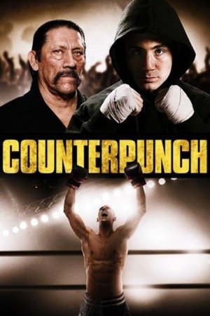 Counterpunch (2013)