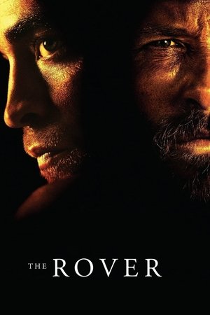 The Rover (2014)