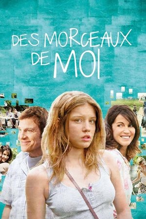 Des morceaux de moi (2013)