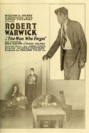 The Man Who Forgot (1917)