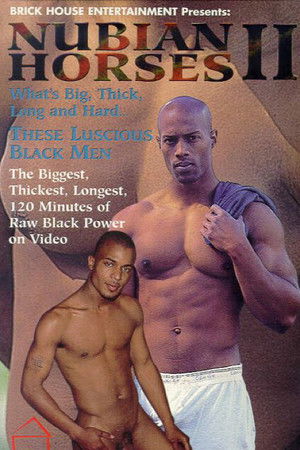 Nubian Horses 2 (1996)