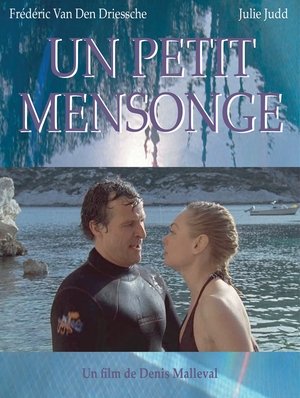 Un petit mensonge (2009)