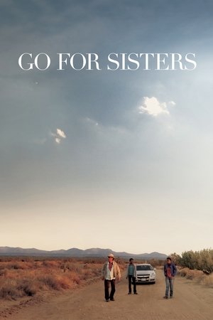 Go for Sisters (2013)