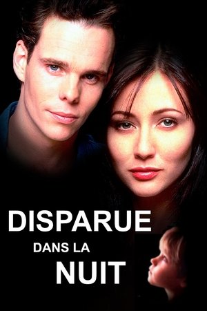 Disparue dans la nuit (1996)
