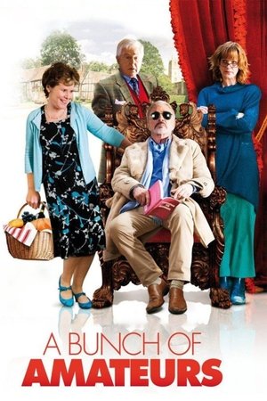 A Bunch of Amateurs (2008)