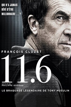 11.6 (2013)