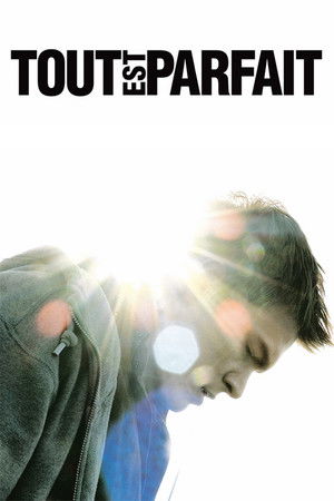 Tout est parfait (2008)